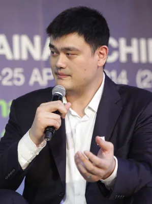 YAO, X.