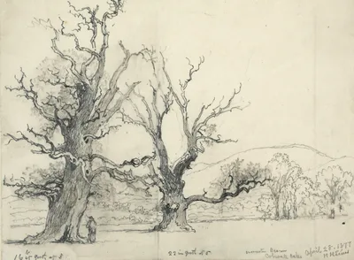 HARRIS, Henry Fauntleroy (1867 – 1926)