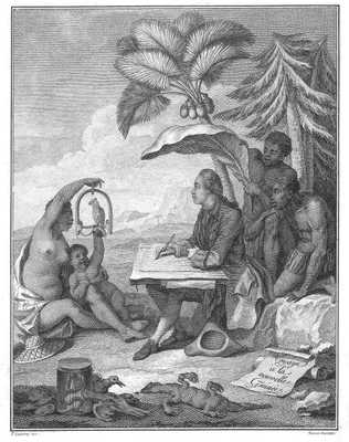 SONNERAT, Pierre (1749 – 1814)